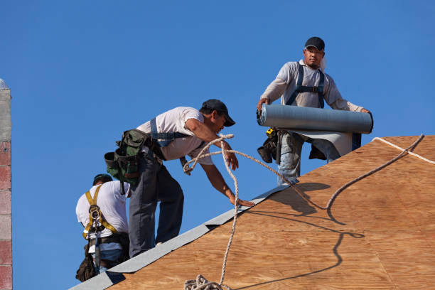 Best Roof Gutter Cleaning  in Flowood, MS